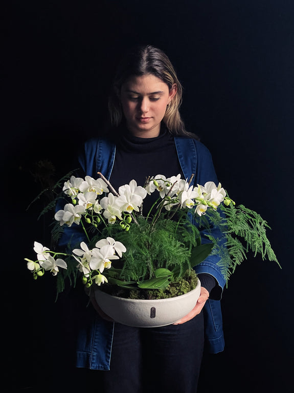 Fantástica Floresta Florida