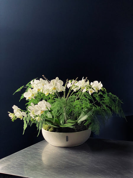 Fantástica Floresta Florida