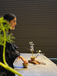 workshop ikebana: o essencial 20/06