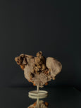 Calcita Ogolite