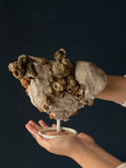 Calcita Ogolite