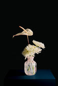 Panaceia rosé